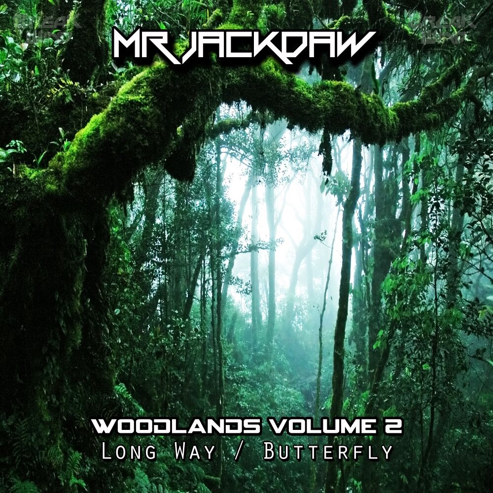 Picture of Woodlands, Vol. 2
