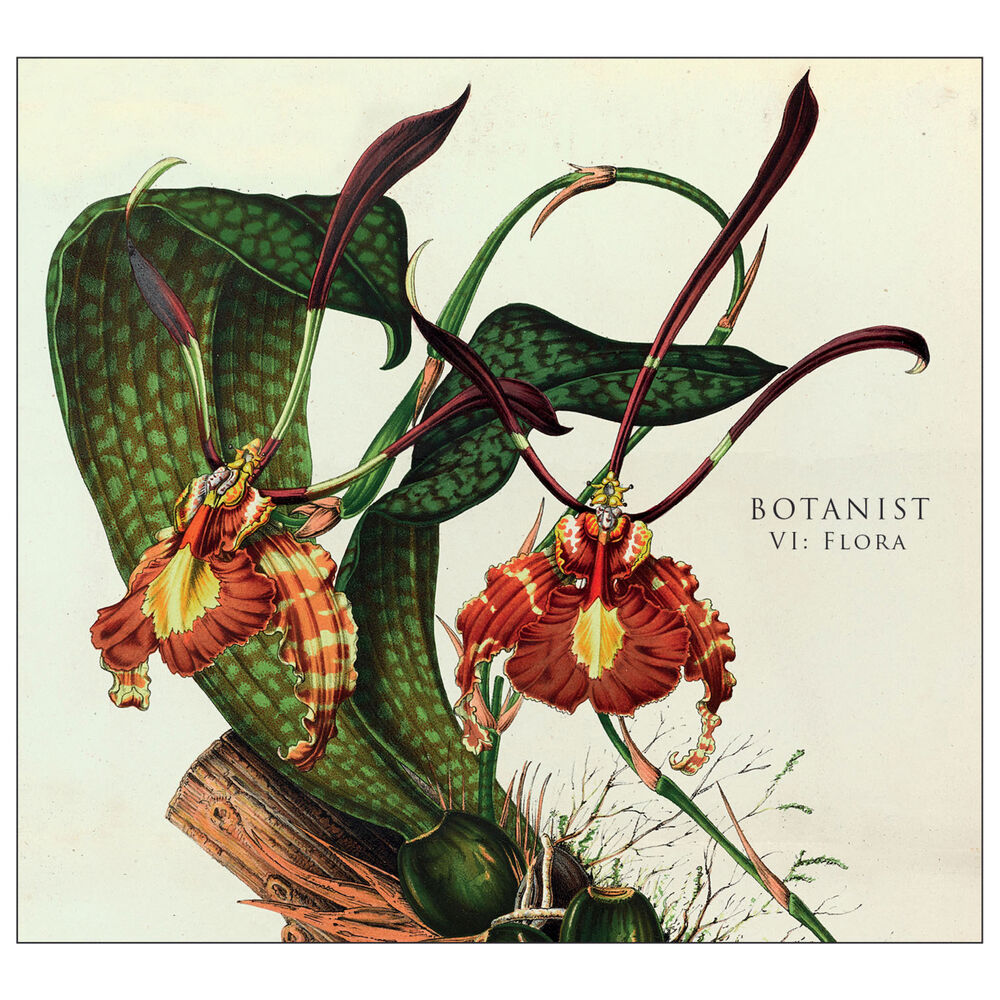 Picture of Vi: Flora
