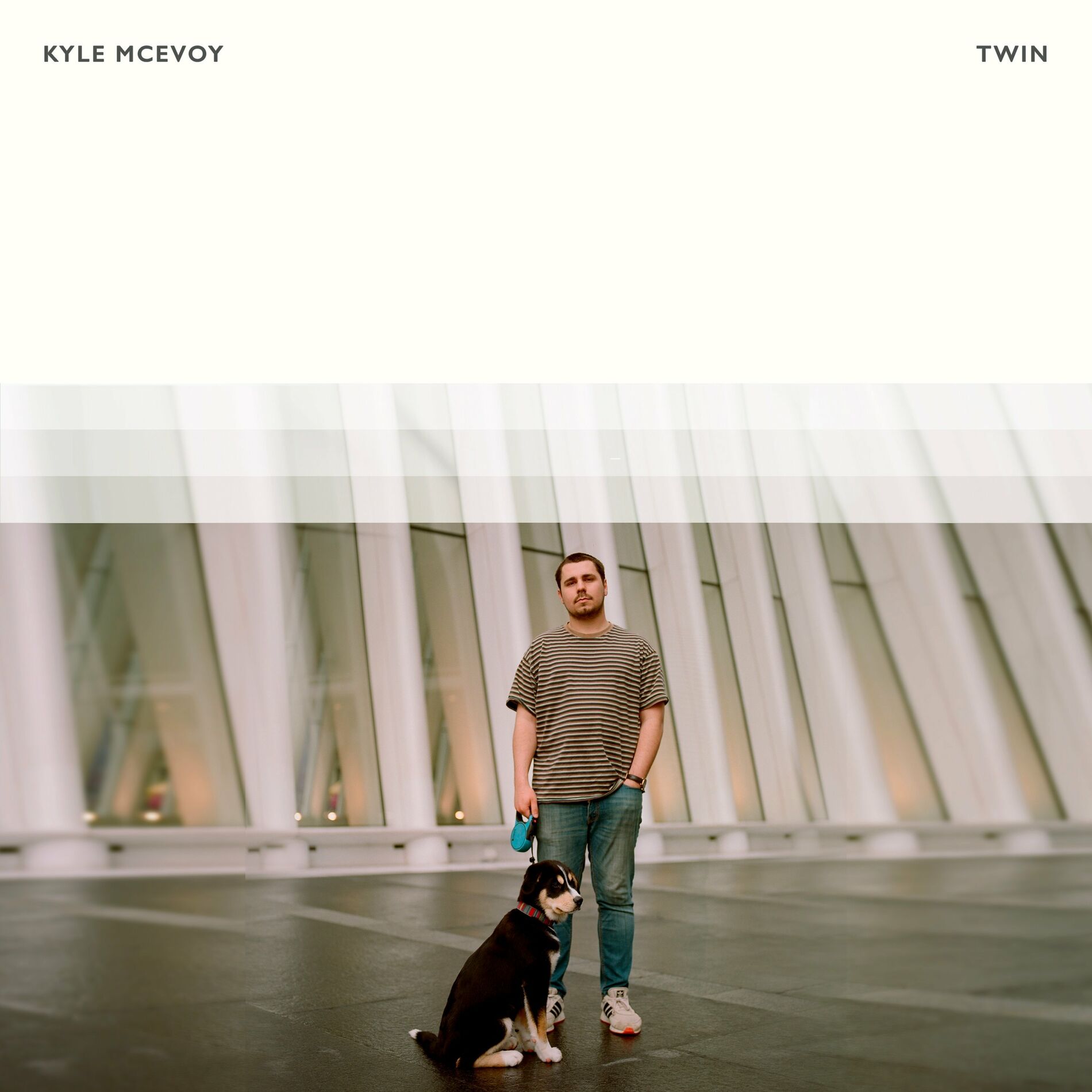 Album cover of Twin