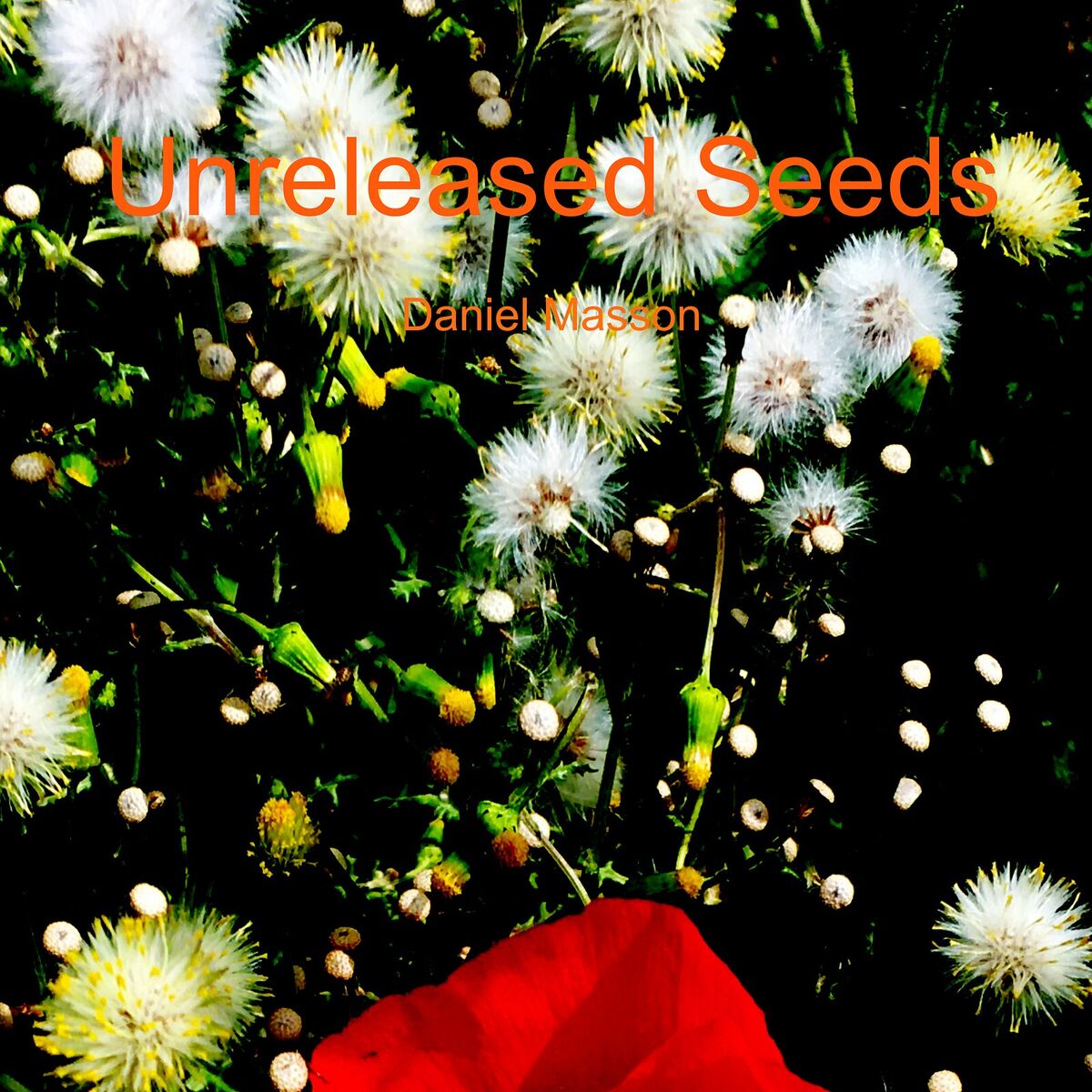 Album cover of Unreleased Seeds