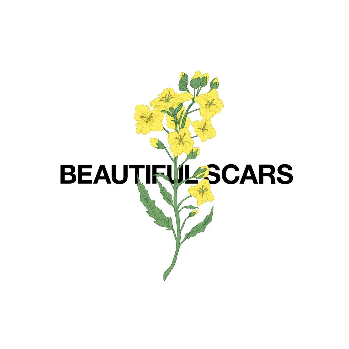 Album cover of Beautiful Scars