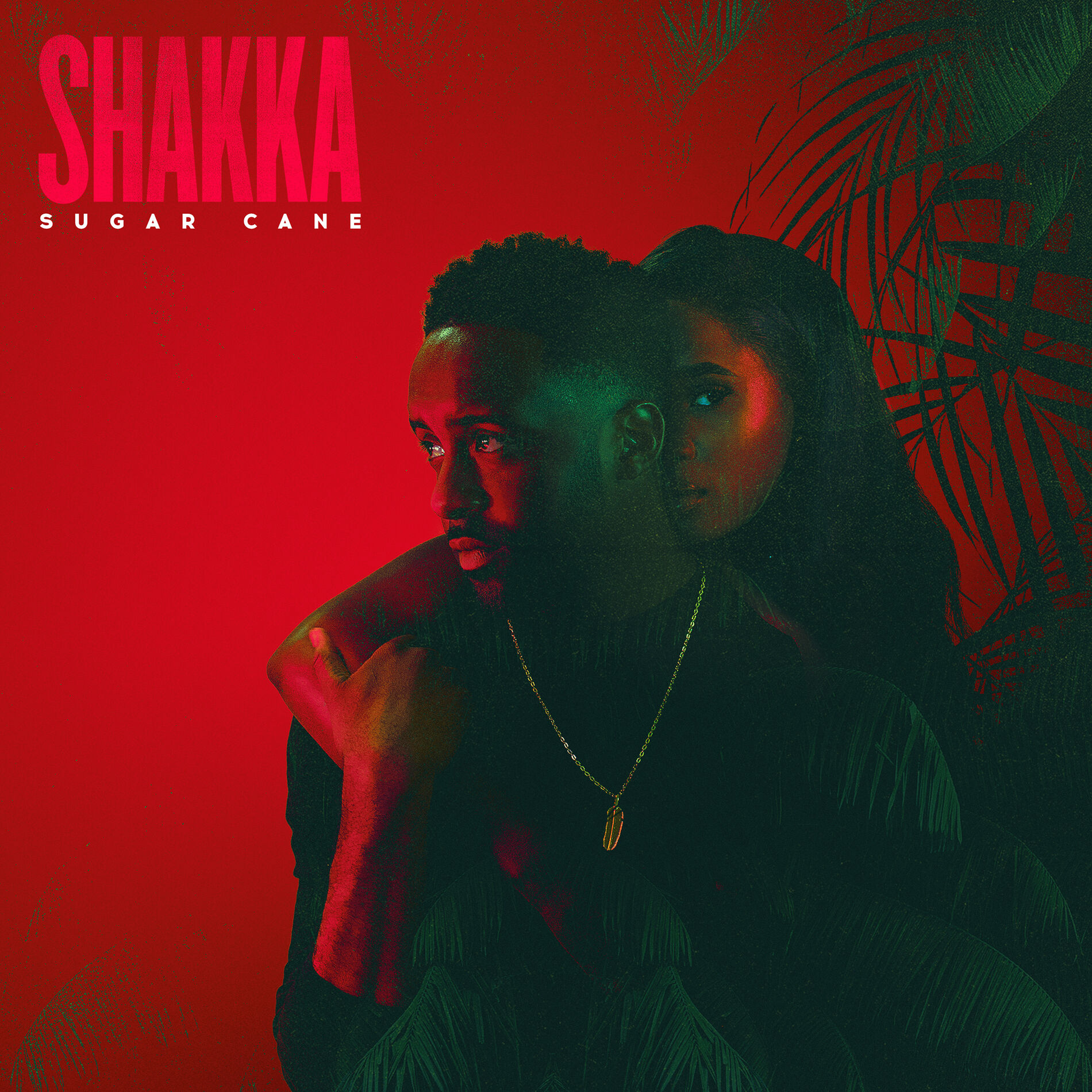 Album cover of Sugar Cane