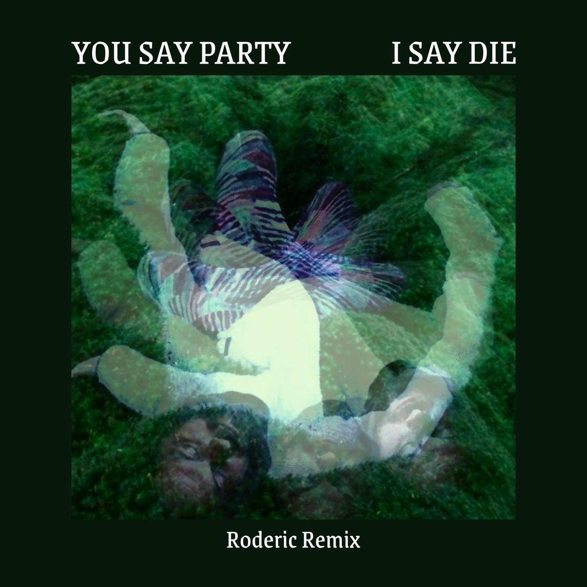 Album cover of You Say Party I Say Die (Roderic Remix)
