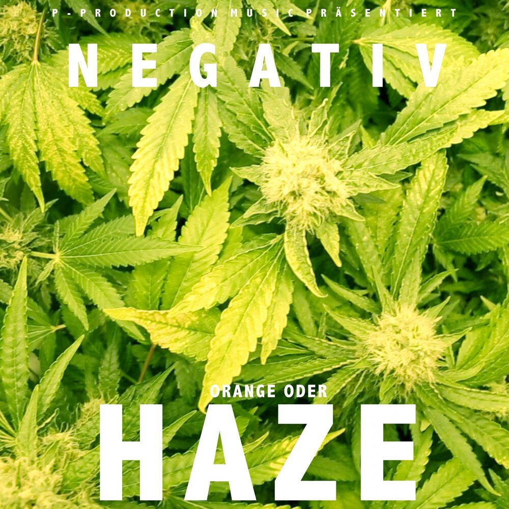 Picture of Orange oder Haze