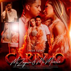 Cover of Pede Com Carinho