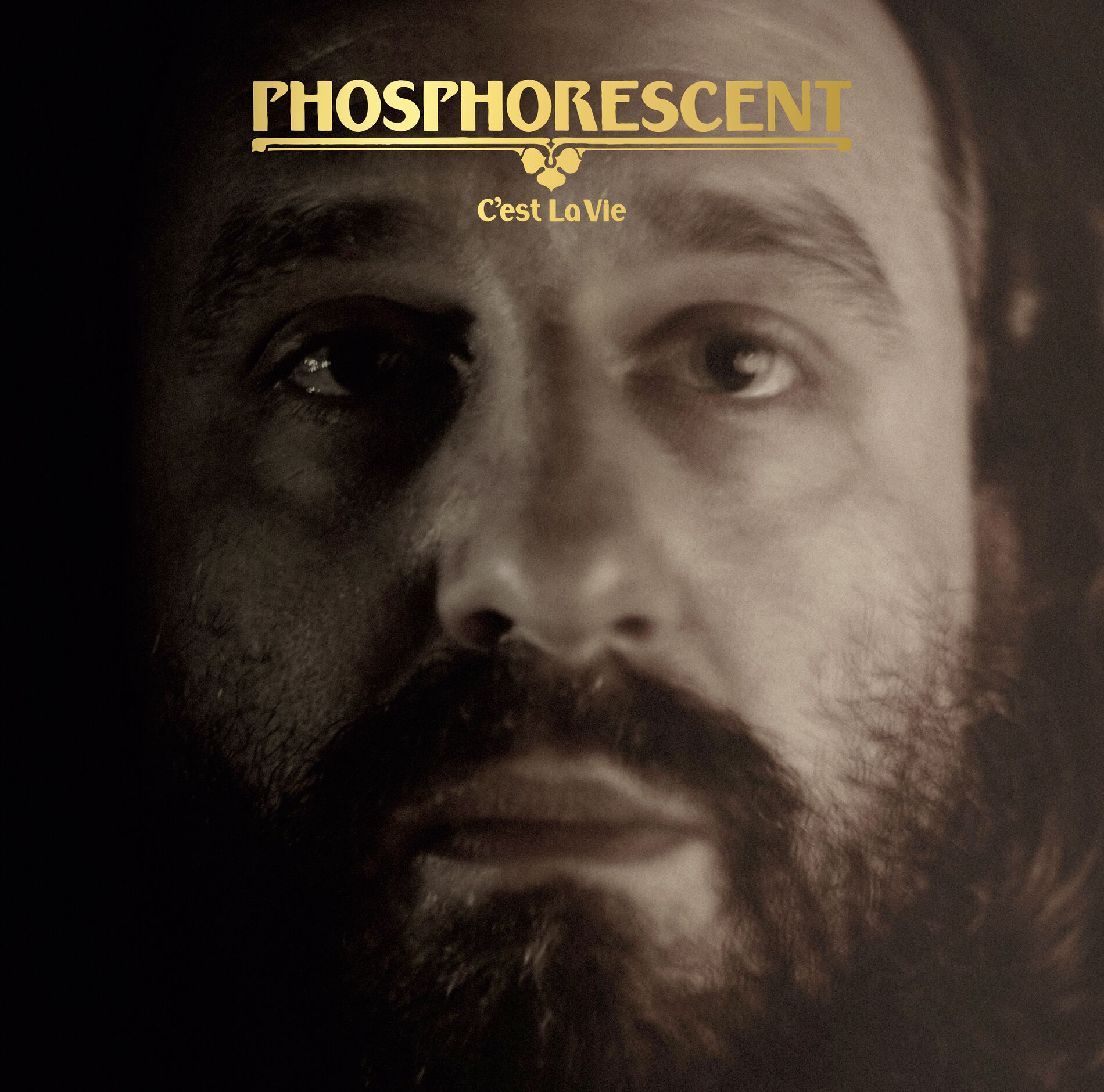 Album cover of C'est La Vie No.2