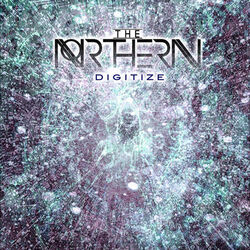 Cover of Digitize