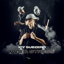 Cover of Vvs & Stress