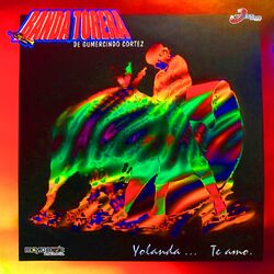 Cover of Yolanda... Te Amo