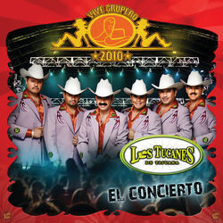 Cover of Vive Grupero 2010 - El Concierto