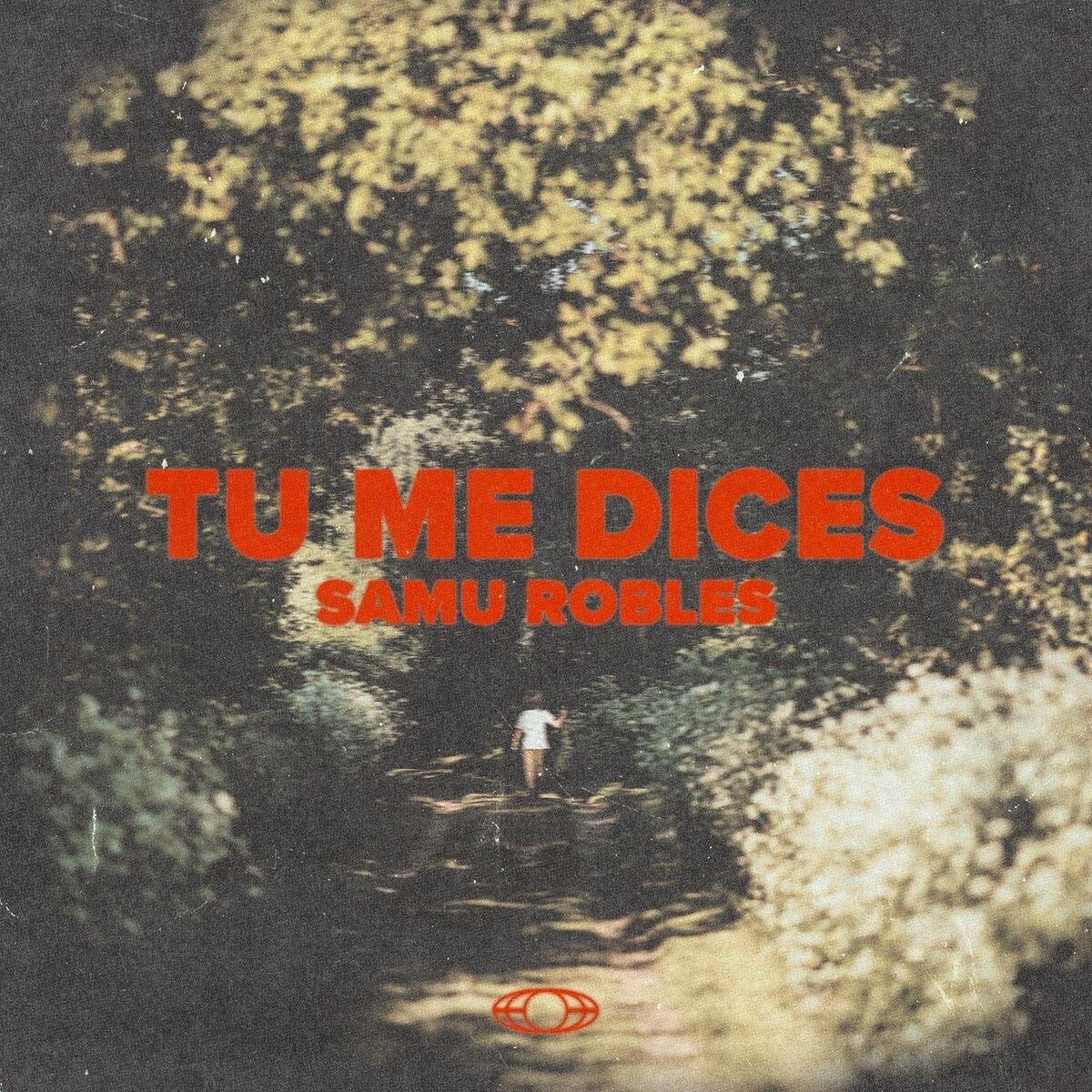 Album cover of Tu Me Dices