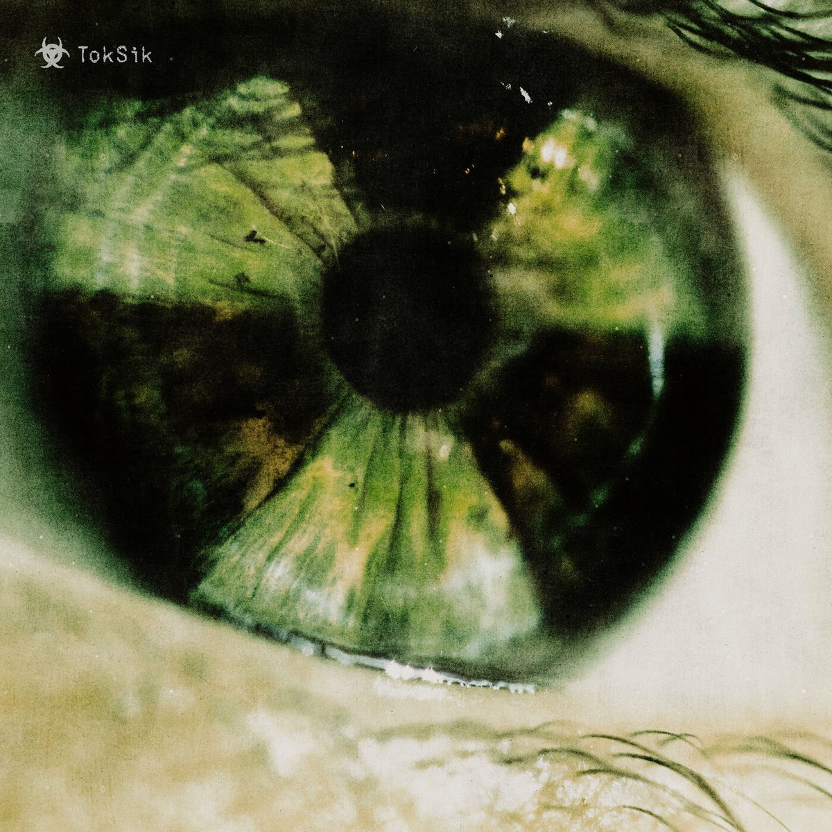 Album cover of TokSik