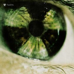 Cover of TokSik