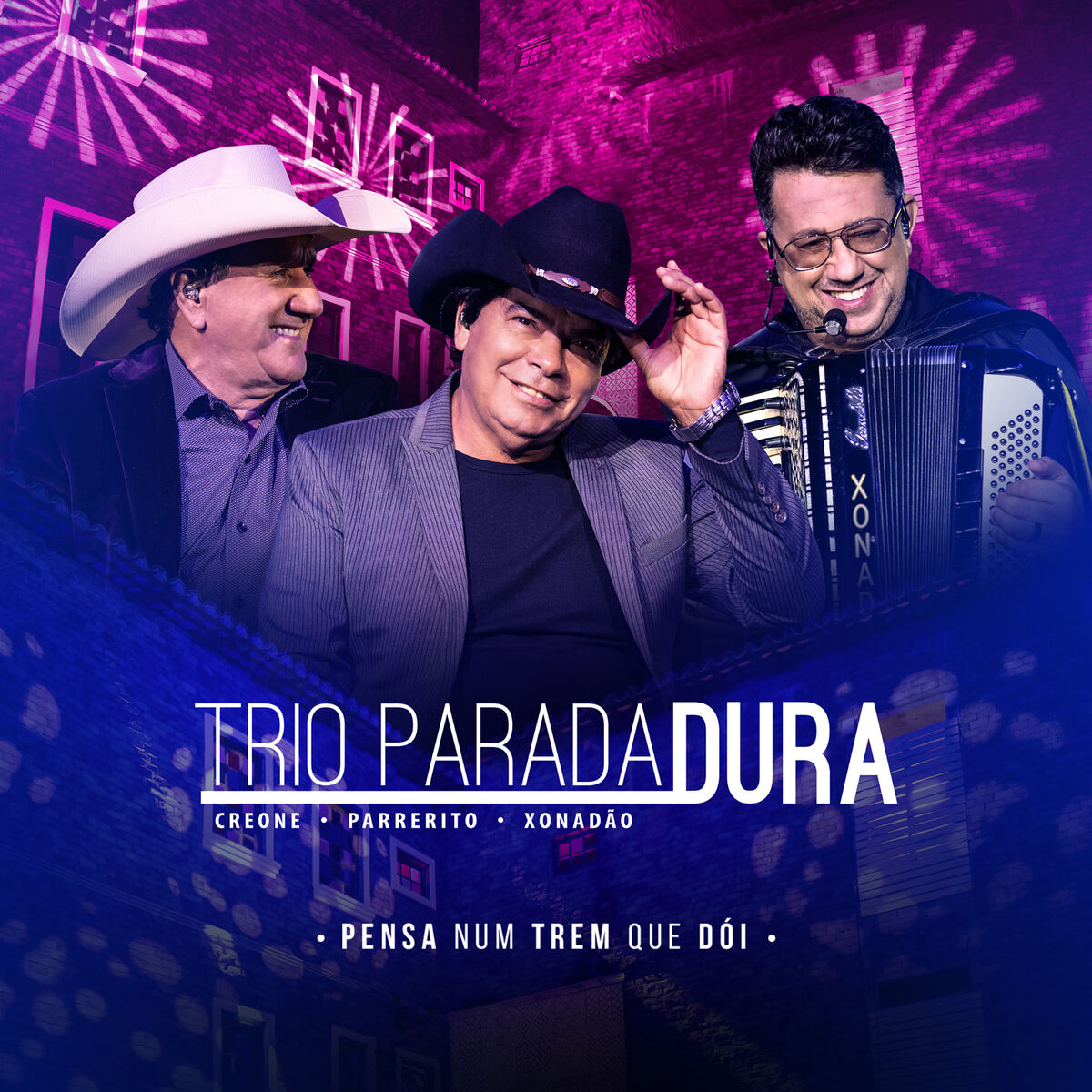 Album cover of Pensa Num Trem Que Dói