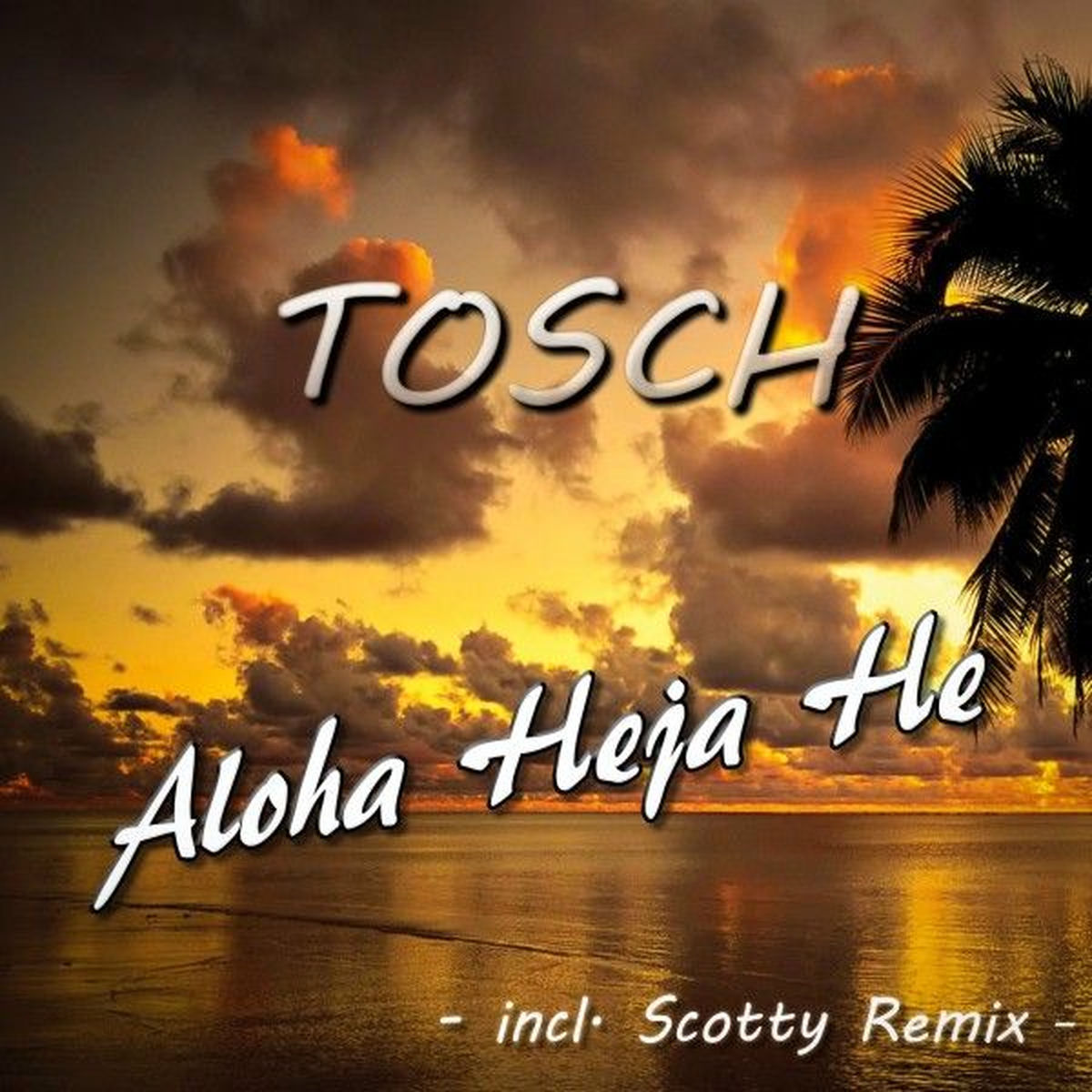 Album cover of Aloha Heja He