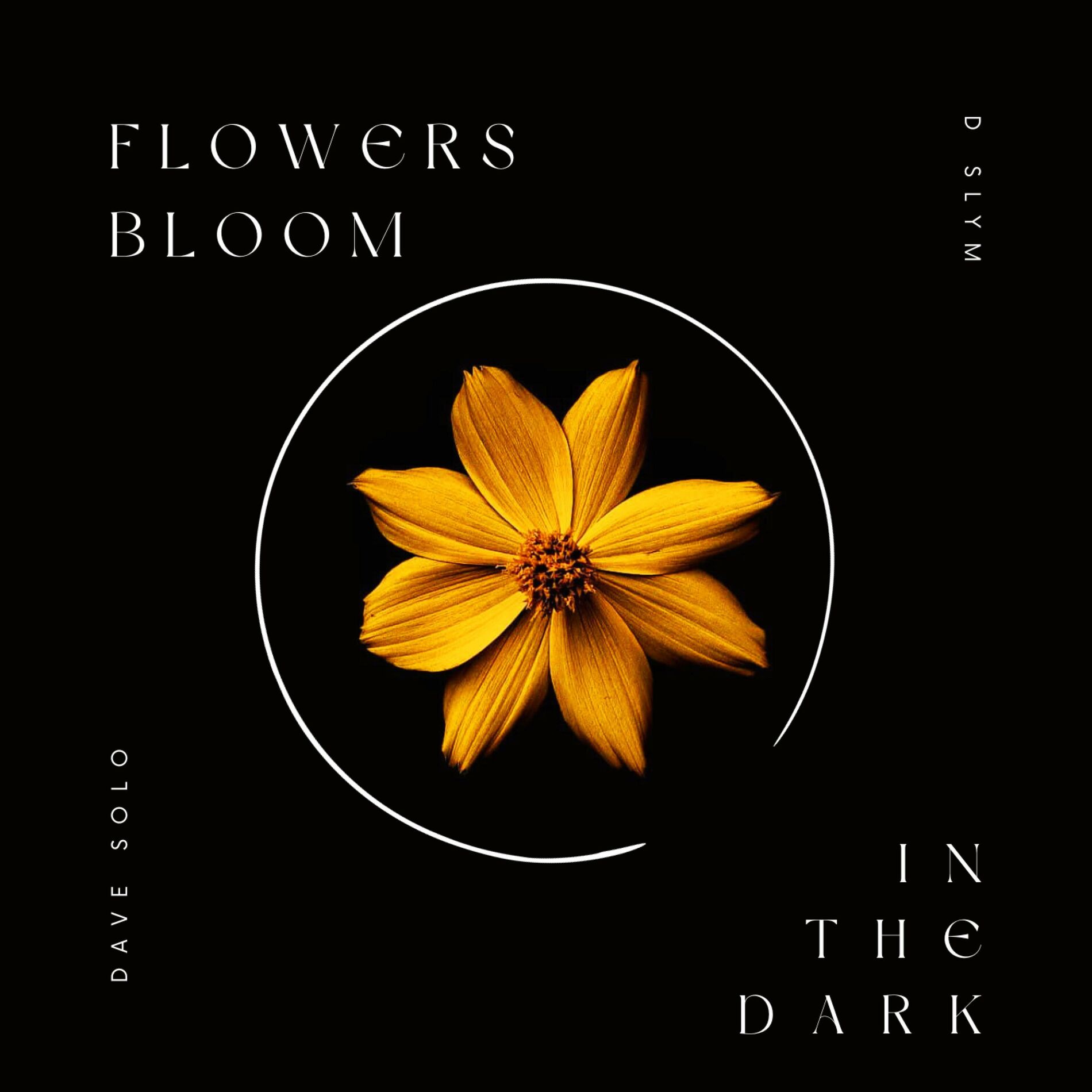 Album cover of FLOWERS BLOOM IN THE DARK