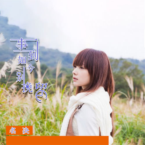 事到如今别挽留