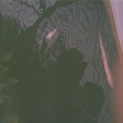 Cover of Ether