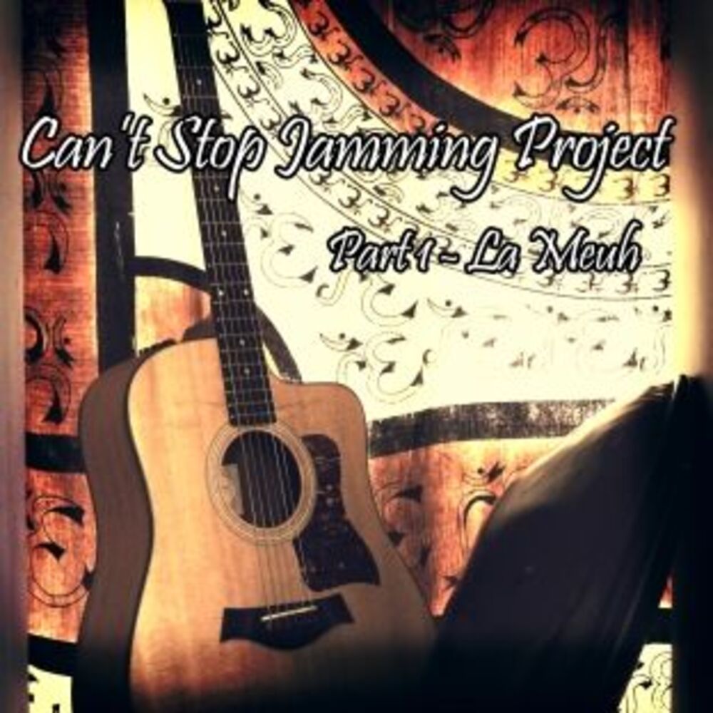 Picture of Can't Stop Jamming Project - Part 1 "La Meuh"