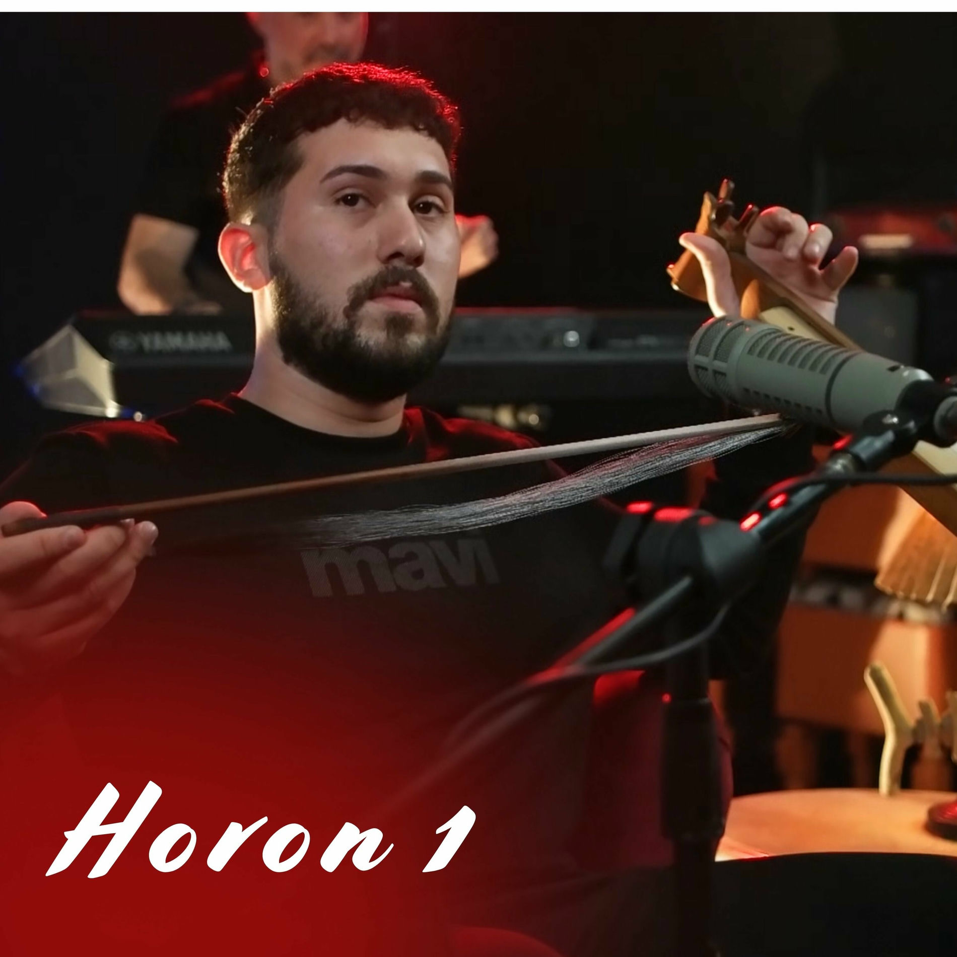 Album cover of Horon