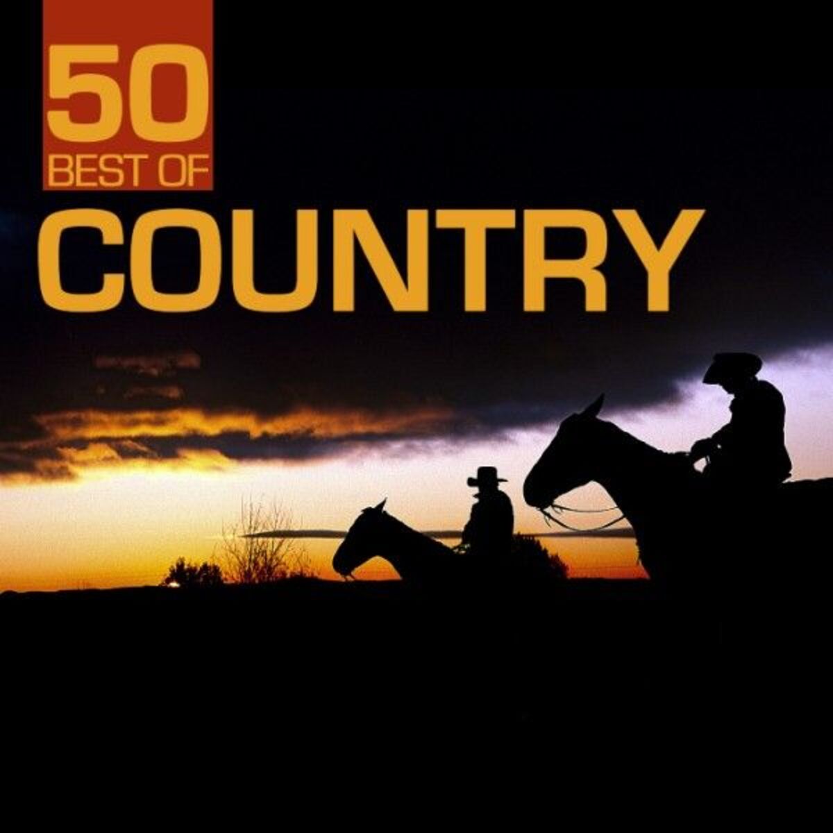 Album cover of 50 Best of Country