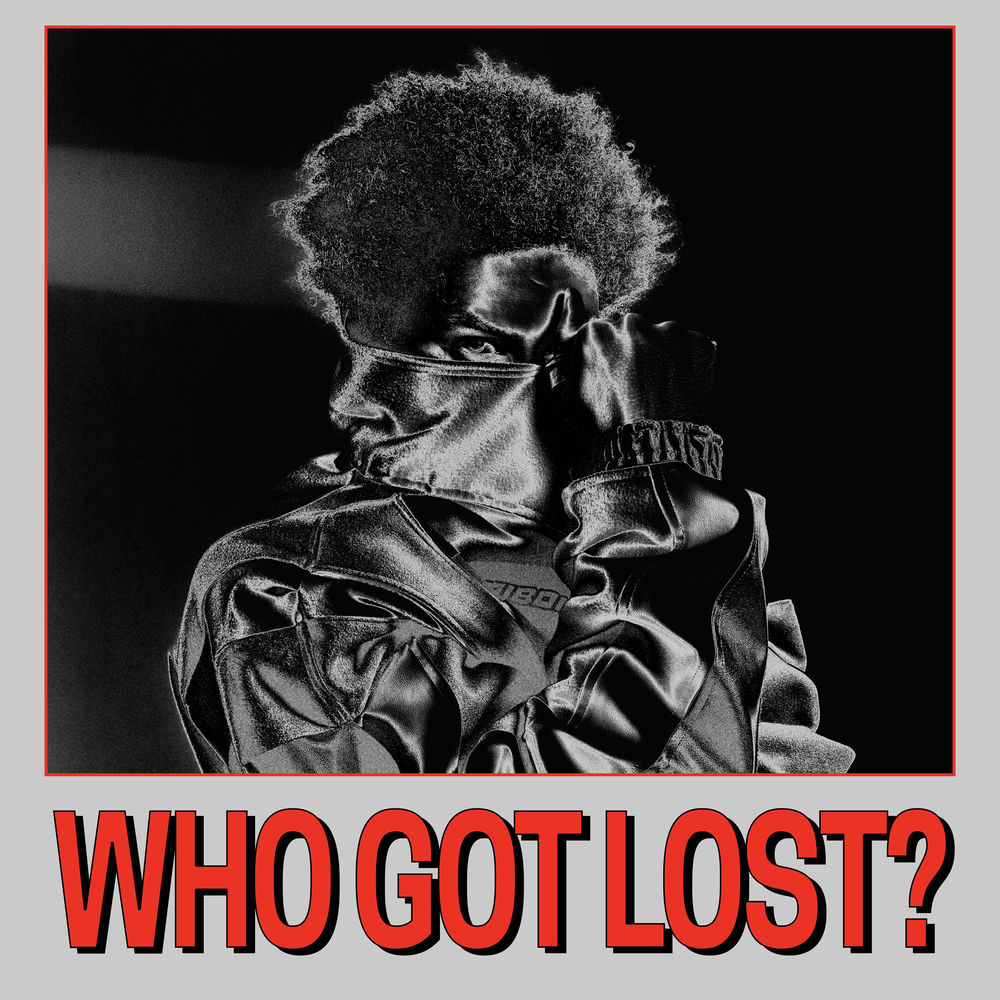 Cover du titre WHO GOT LOST?