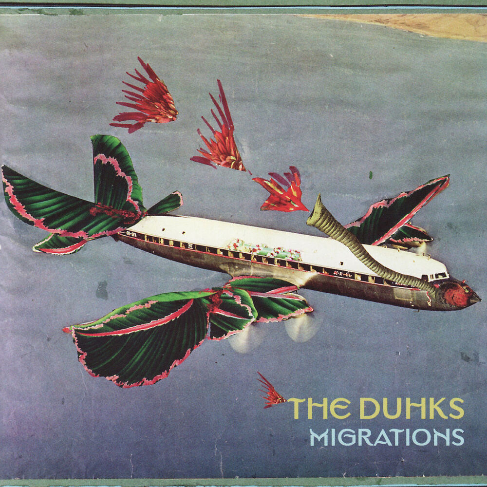 Picture of Migrations