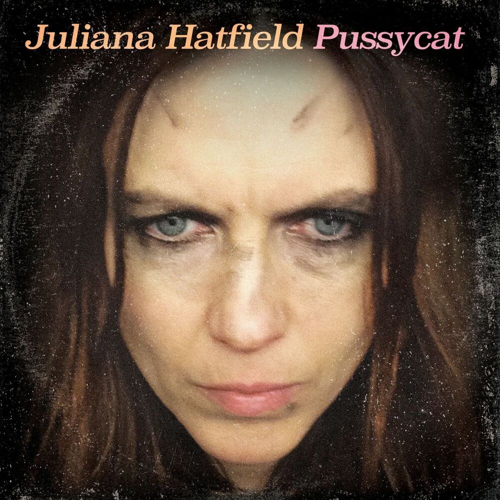 Picture of Pussycat
