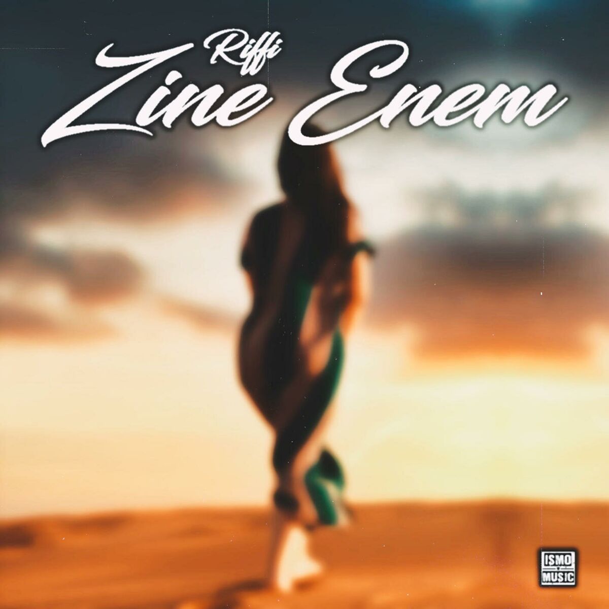 Album cover of Zine Enem