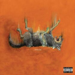 Cover of SHAKE THE SNOW GLOBE (DELUXE)
