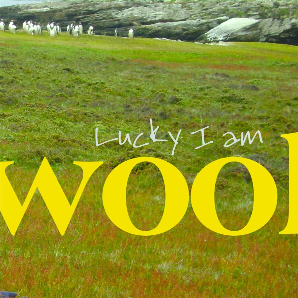 Album cover of Lucky I Am