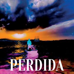 Cover of Perdida
