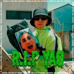 Cover of Rip Yao Cabrera