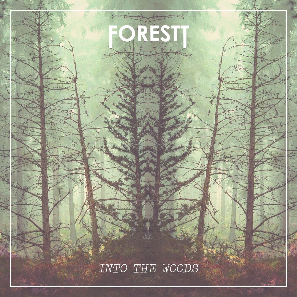 Picture of Into the Woods