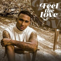 Cover of FEEL THE LOVE