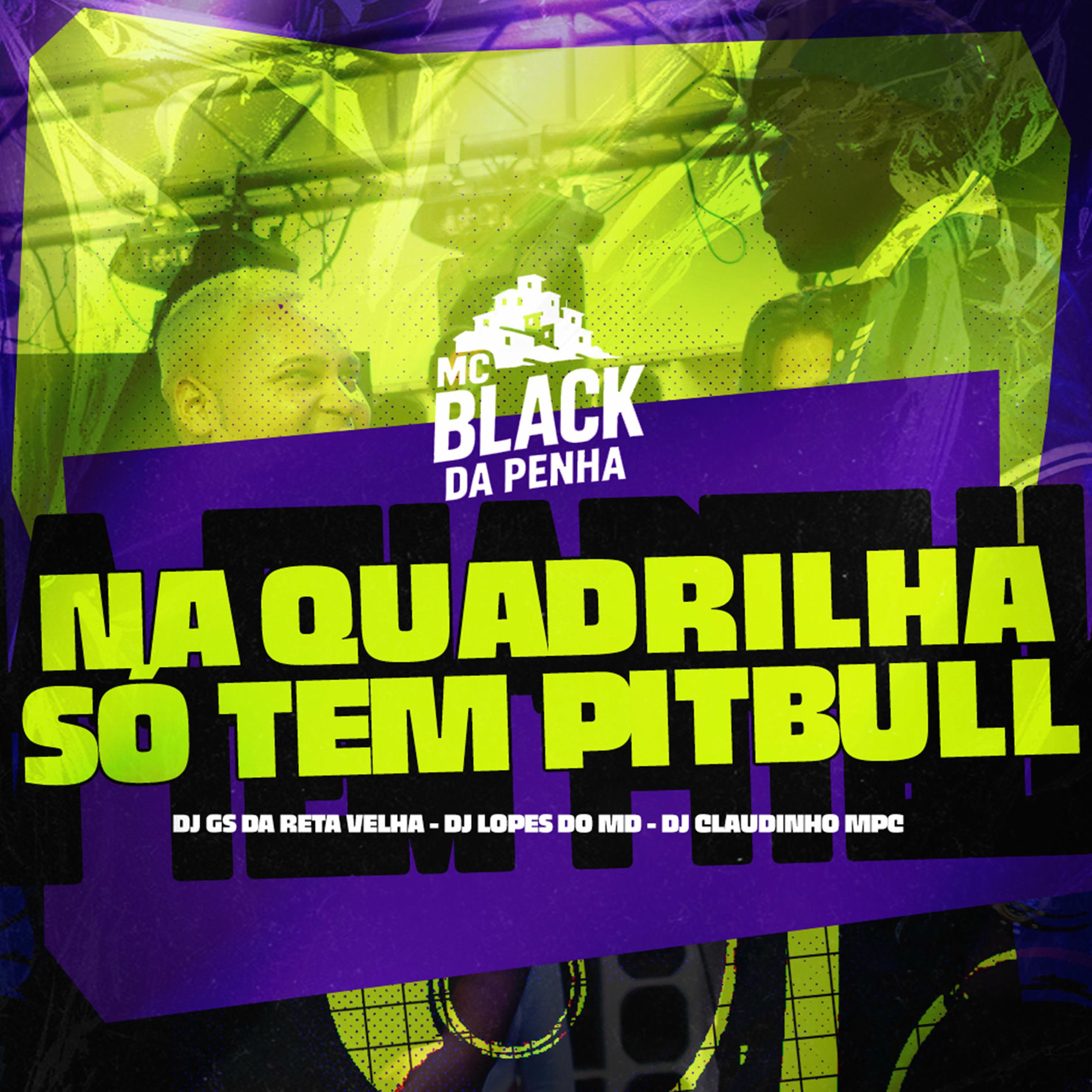 Album cover of Na Quadrilha Só Tem Pitbull