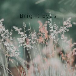 Cover of Bright Eyes