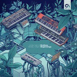 Cover of Endless Beginnings