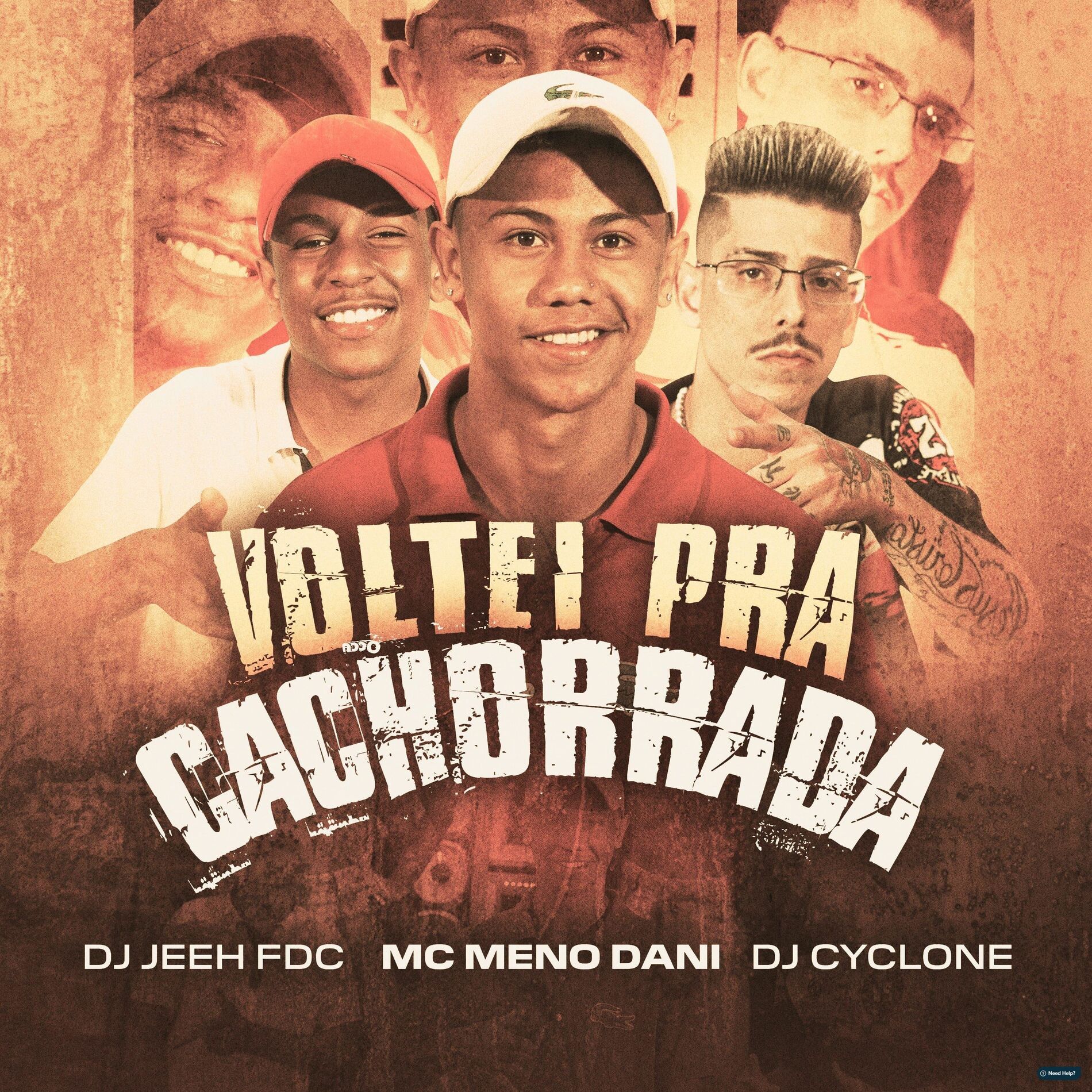 Album cover of Voltei pra Cachorrada