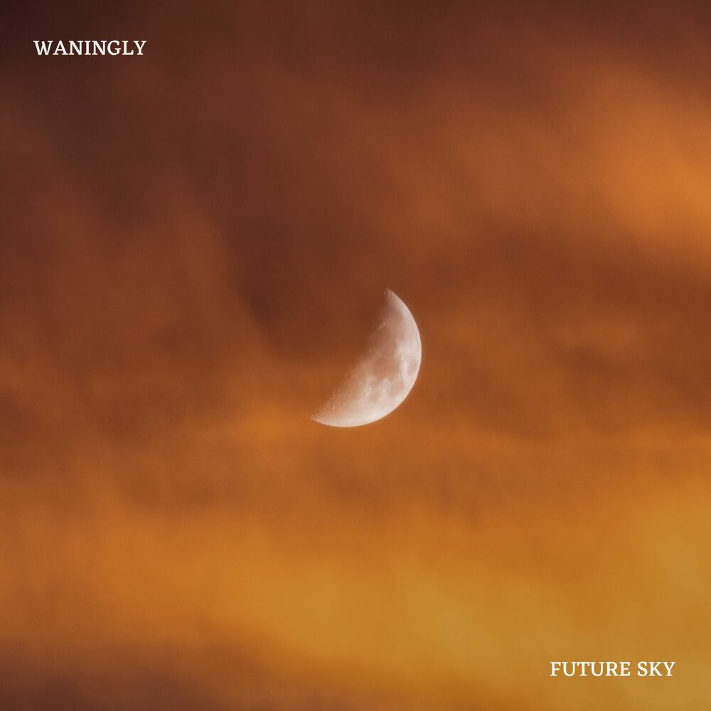 Picture of Waningly