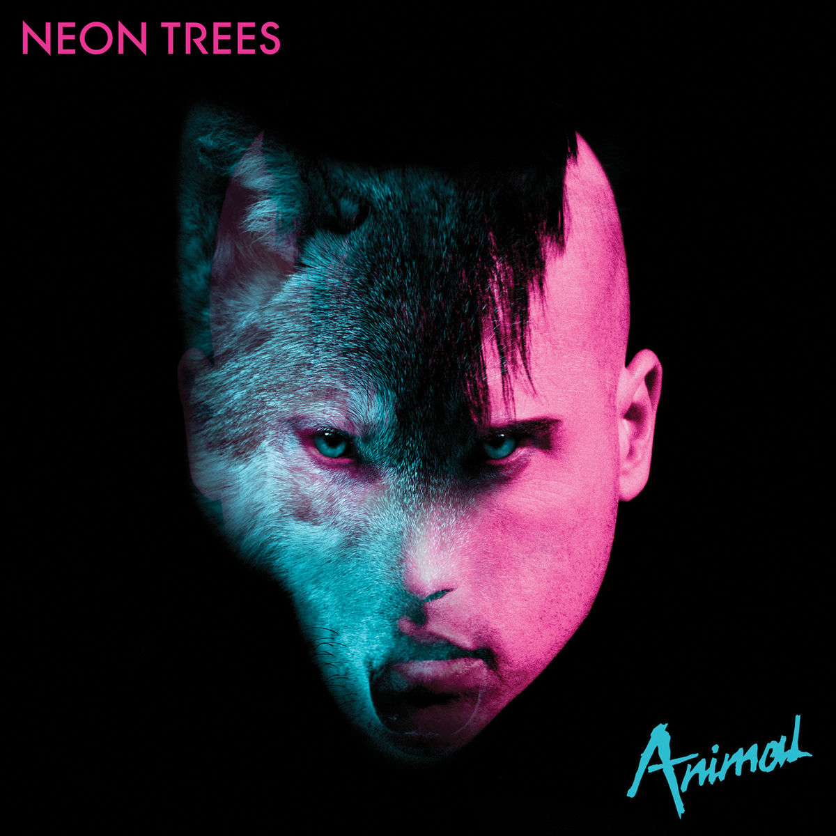 Album cover of Animal