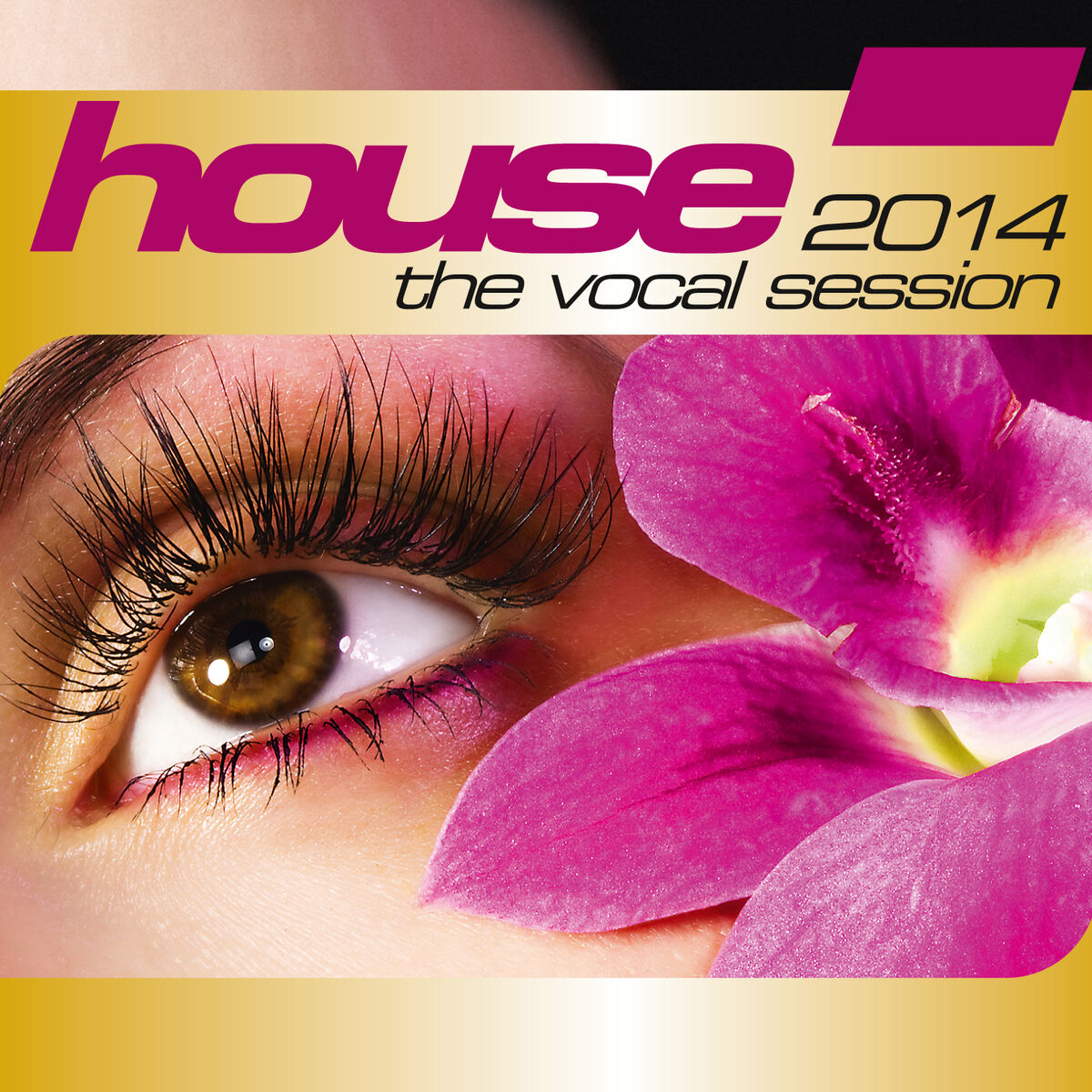 Album cover of House: The Vocal Session 2014