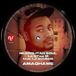 Cover of Amaqhawe