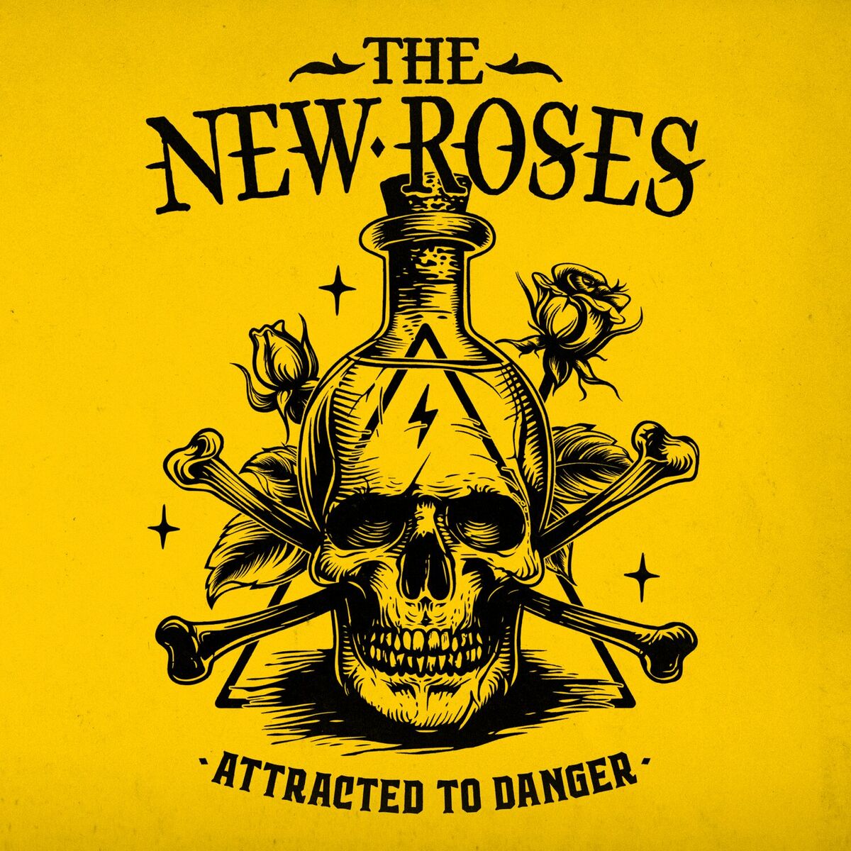 Album cover of Attracted To Danger