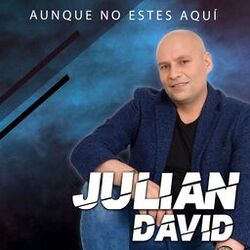 Cover of Aunque no estés aquí