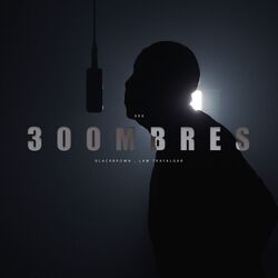 Cover of 300