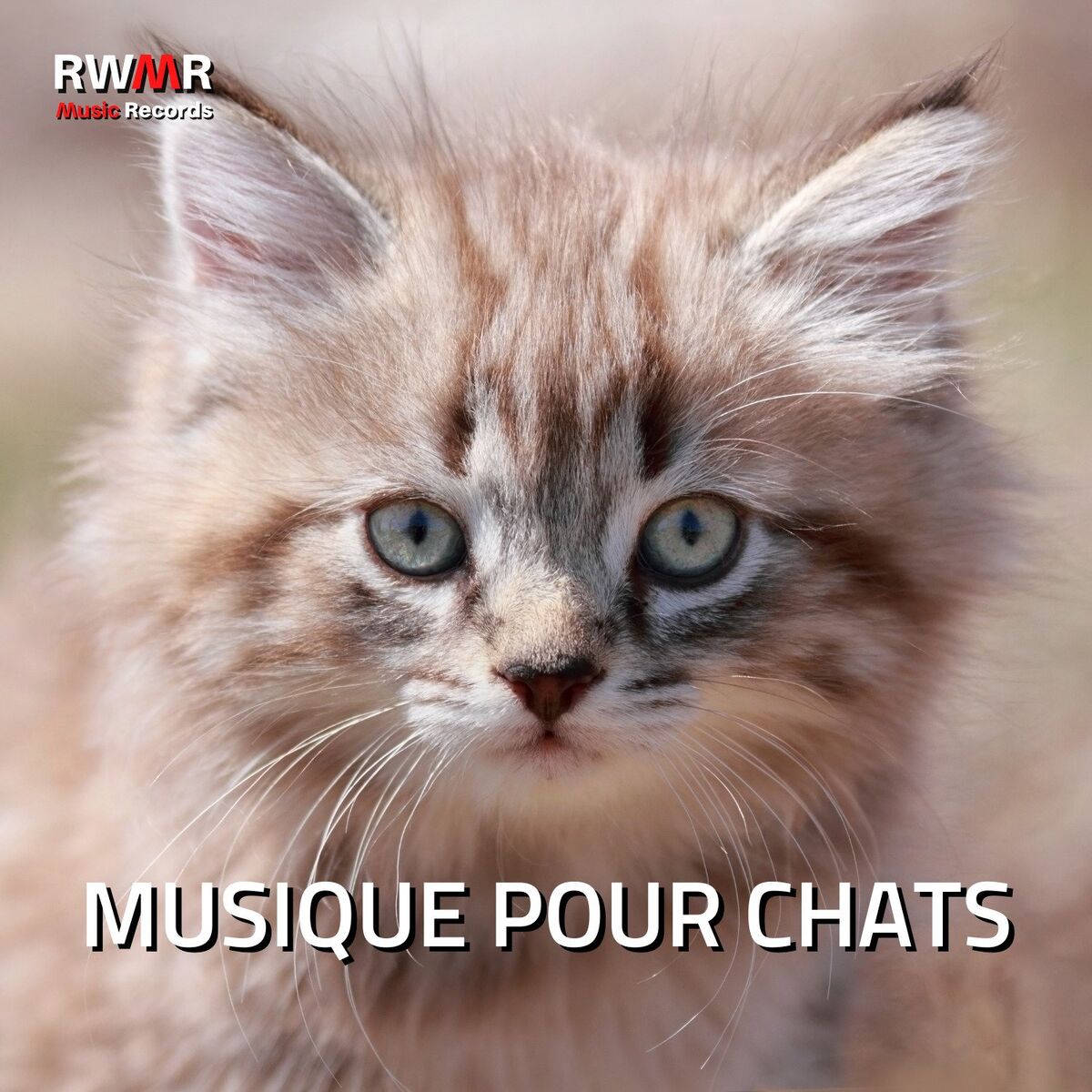 Album cover of Musique pour chats - Mélodies apaisantes pour chatons, chansons relaxantes pour animaux agités, musique pour dormir, chansons anti