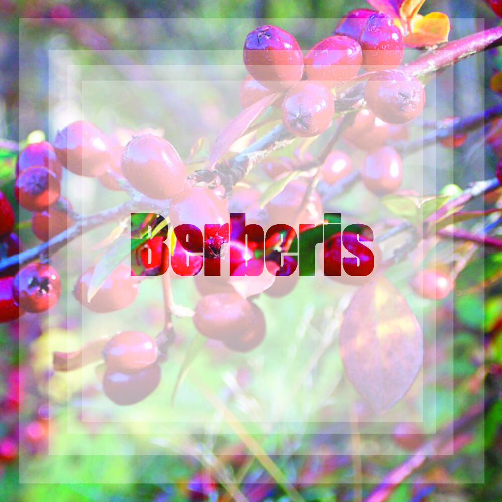 Picture of Smokehouse EP