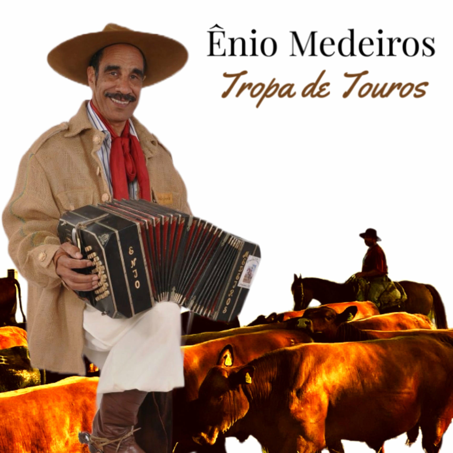 Album cover of Tropa de Touros