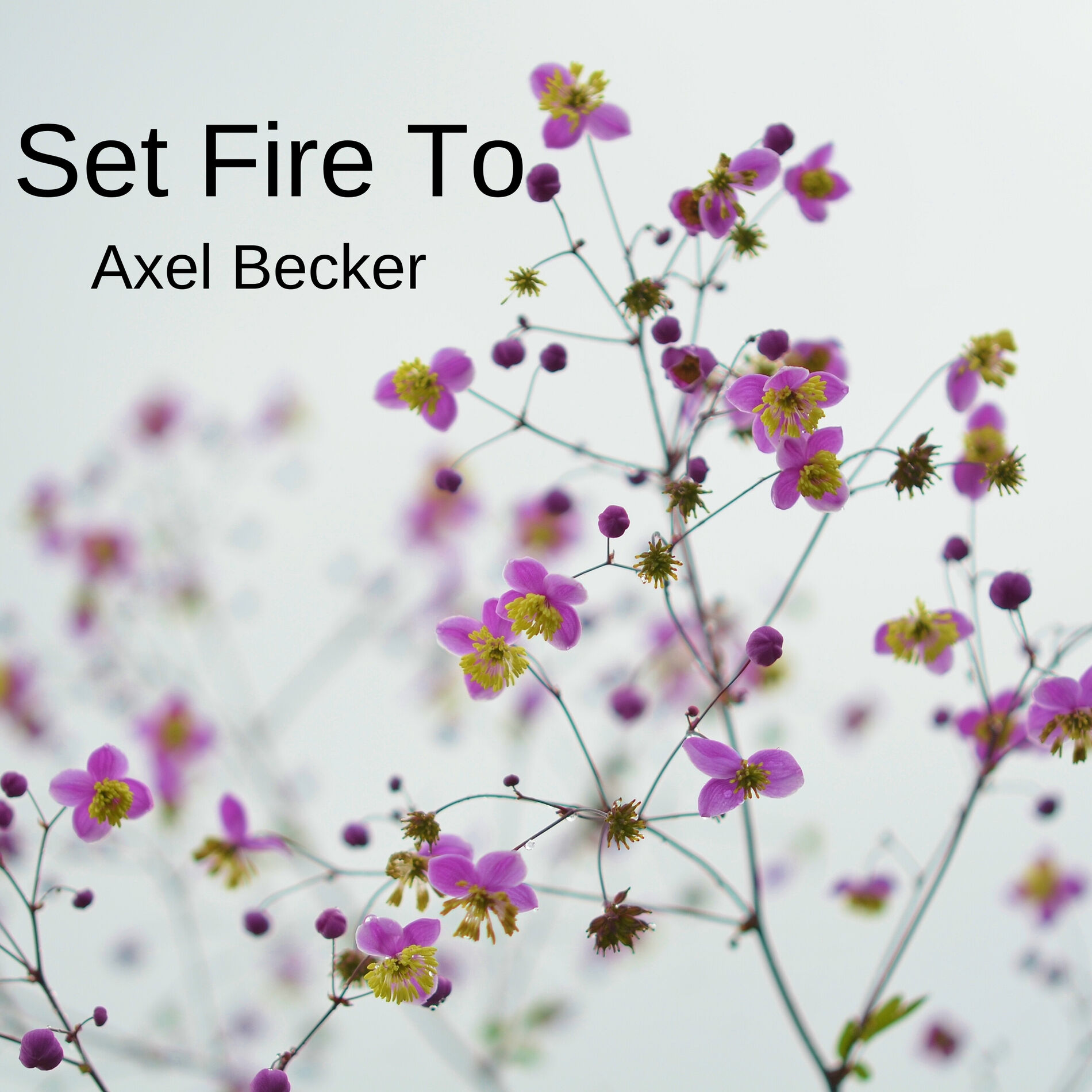 Album cover of Set Fire To